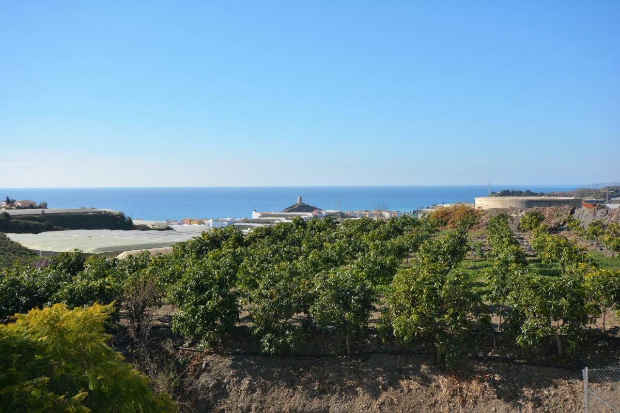 Pura Vida El Morche Lejlighed Torrox Eksteriør billede