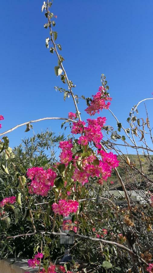 Pura Vida El Morche Lejlighed Torrox Eksteriør billede